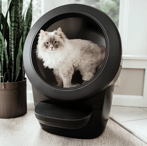 Screen Shot 2023-12-16 at 12.59.22 PM